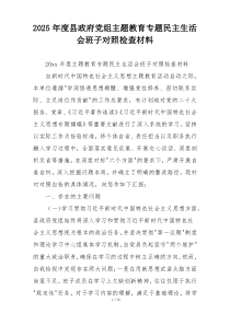 2025年度县政府党组主题教育专题民主生活会班子对照检查材料