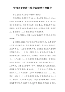 学习县委经济工作会议精神心得体会