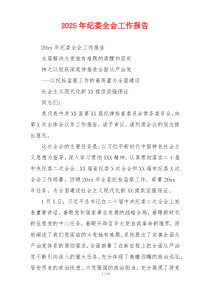 2025年纪委全会工作报告