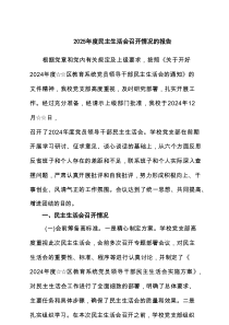 2025年度民主生活会召开情况的报告（共8篇）
