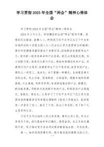 学习贯彻2025年全国“两会”精神心得体会
