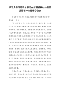 学习贯彻习近平总书记在新疆视察时的重要讲话精神心得体会公安