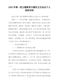 2025年第一批主题教育专题民主生活会个人剖析材料
