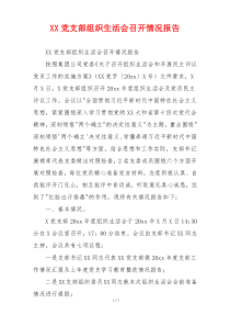 XX党支部组织生活会召开情况报告