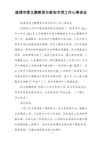 抽调市委主题教育办参加专项工作心得体会