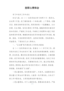 挂职心得体会