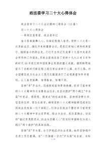 政法委学习二十大心得体会