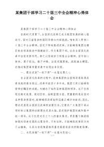 某集团干部学习二十届三中全会精神心得体会
