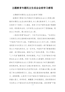 主题教育专题民主生活会会前学习感悟