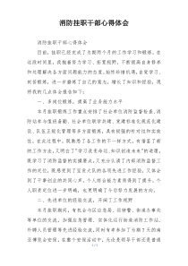 消防挂职干部心得体会