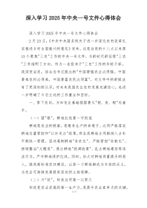 深入学习2025年中央一号文件心得体会