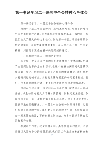 第一书记学习二十届三中全会精神心得体会