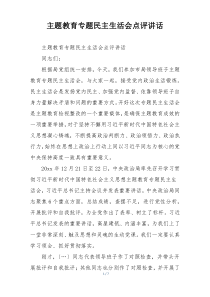 主题教育专题民主生活会点评讲话