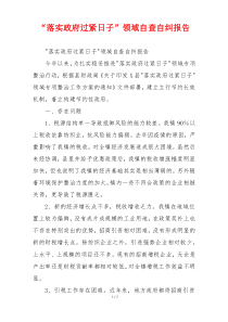 “落实政府过紧日子”领域自查自纠报告