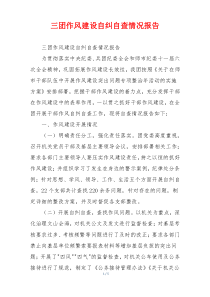 三团作风建设自纠自查情况报告