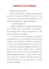 专题组织生活会召开情况报告