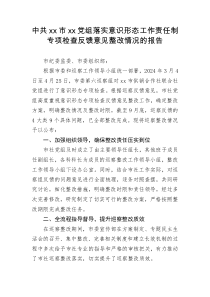 中共市党组落实意识形态工作责任制专项检查反馈意见整改情况的报告