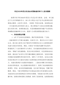 书记2025年民主生活会对照检查材料个人发言提纲（5篇优质）