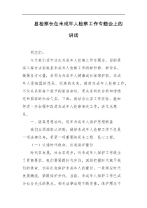 县检察长在未成年人检察工作专题会上的讲话