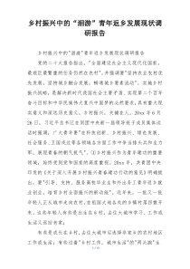 乡村振兴中的“洄游”青年返乡发展现状调研报告