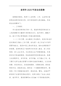 县领导2025年政治自画像