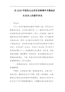 在2025年国有企业项目违章事件专题组织生活会上的督导讲话