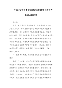 在2025年市委党的建设工作领导小组扩大会议上的讲话