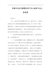 市委书记在市委理论学习中心组学习会上的发言