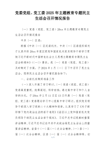 党委党组、党工委2025年主题教育专题民主生活会召开情况报告