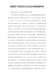 党委班子成员民主生活会对照检查材料