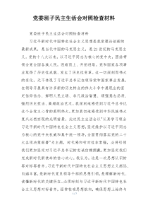 党委班子民主生活会对照检查材料