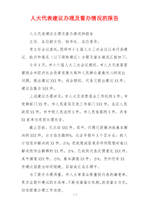 人大代表建议办理及督办情况的报告
