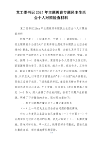 党工委书记2025年主题教育专题民主生活会个人对照检查材料