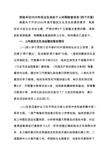 党组书记2025年民主生活会个人对照检查发言（四个方面）【8篇】