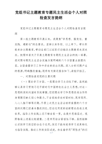 党组书记主题教育专题民主生活会个人对照检查发言提纲