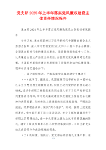 党支部2025年上半年落实党风廉政建设主体责任情况报告