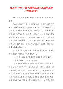 党支部2025年党风廉政建设和反腐败工作开展情况报告