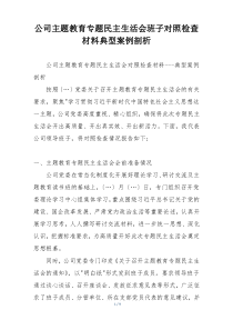 公司主题教育专题民主生活会班子对照检查材料典型案例剖析