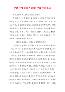 党政主要负责人2025年度述法报告