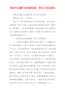 党组书记履行法治建设第一责任人述法报告