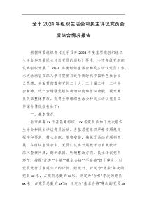 全市2024年组织生活会和民主评议党员会后综合情况报告