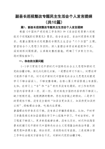 副县长巡视整改专题民主生活会个人发言提纲十篇（精选）