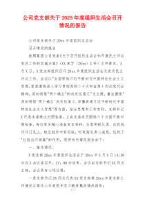 公司党支部关于2025年度组织生活会召开情况的报告