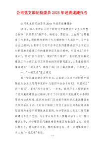 公司党支部纪检委员2025年述责述廉报告