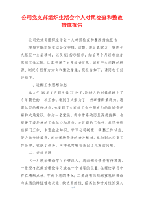 公司党支部组织生活会个人对照检查和整改措施报告