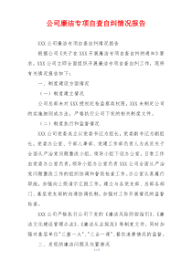 公司廉洁专项自查自纠情况报告