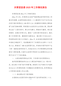 共青团县委2025年工作情况报告