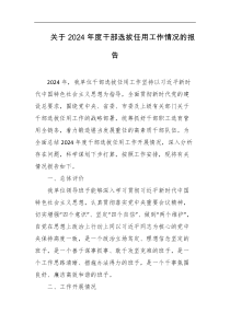 关于2024年度干部选拔任用工作情况的报告