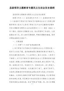 县级领导主题教育专题民主生活会发言提纲