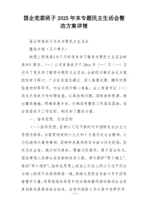 国企党委班子2025年末专题民主生活会整改方案详情